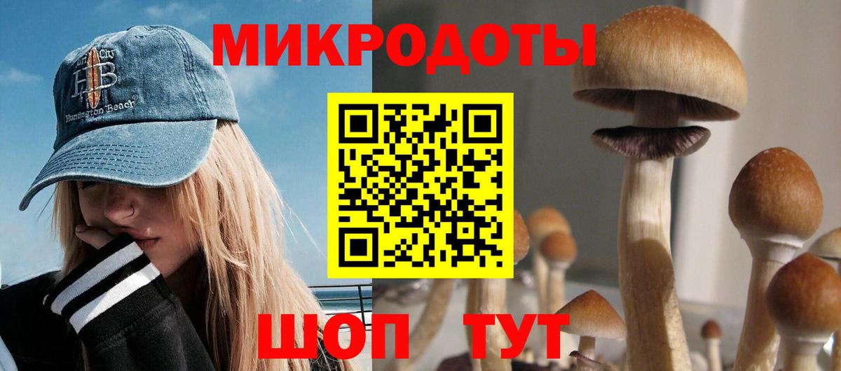 Зеленокумск  Галлюциногенные грибы Psilocybe  Вход с VPN  Галлюциногенные грибы мицелий 