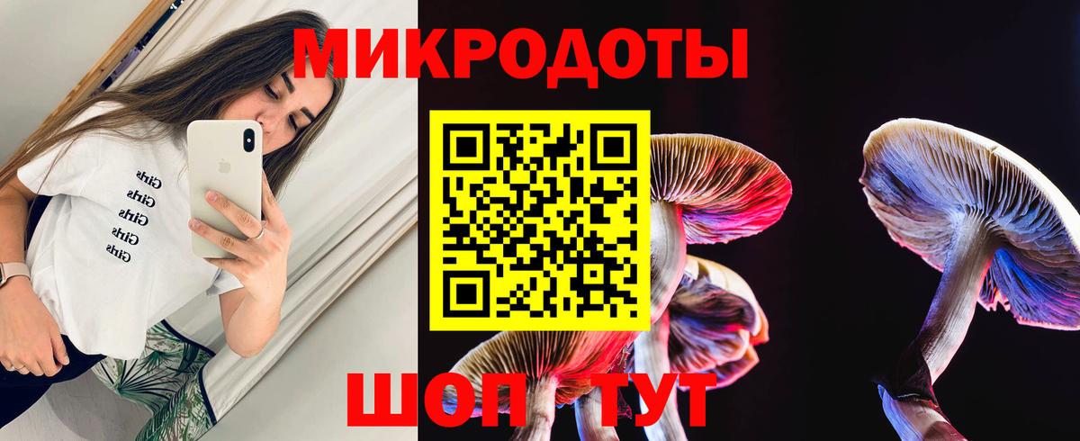 Псилоцибиновые грибы Cubensis Зеленокумск